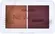 Blush New Vibe Cor 01 Ruby Rose - 3,8g